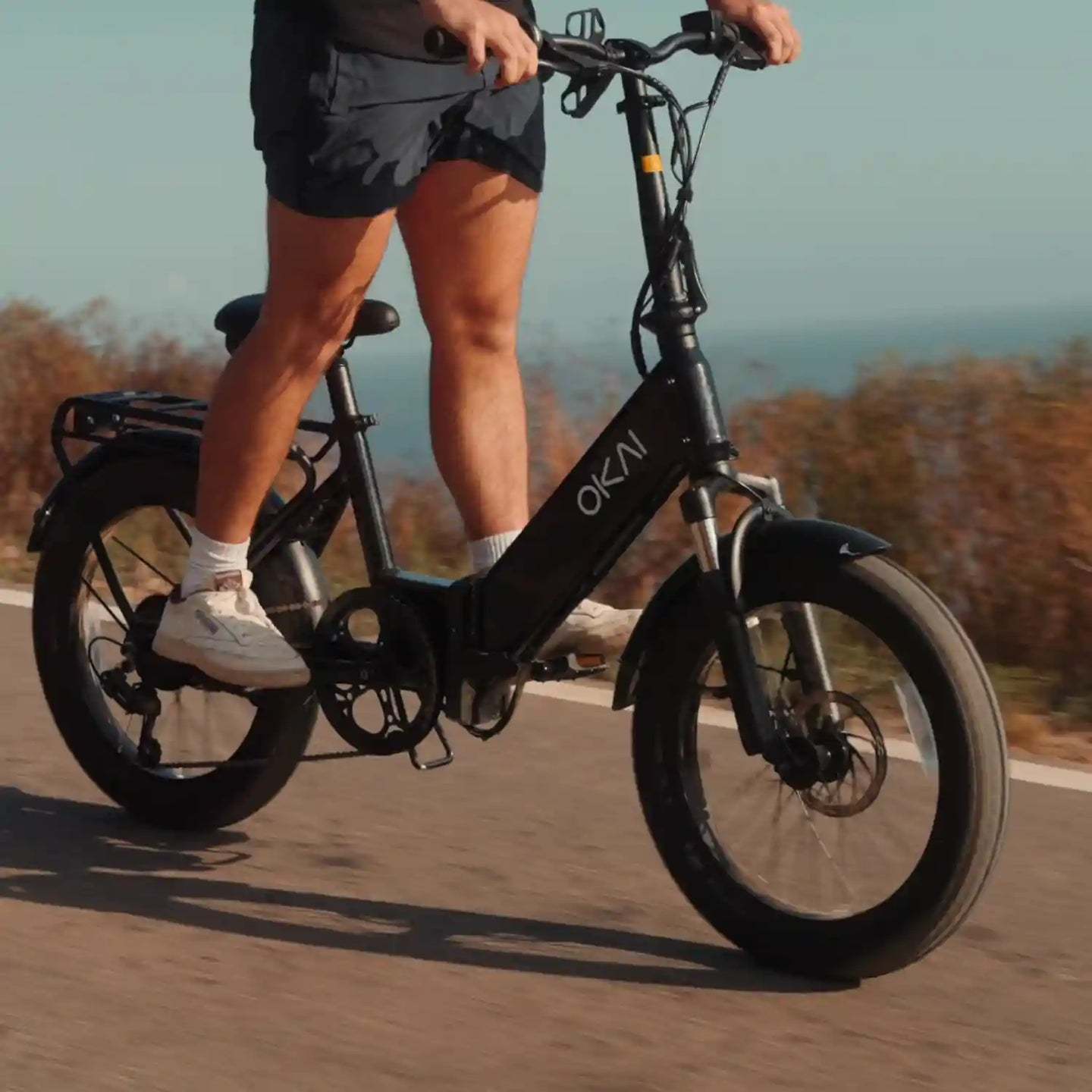 FlexMov Folding EBike Unlock Your Best Self